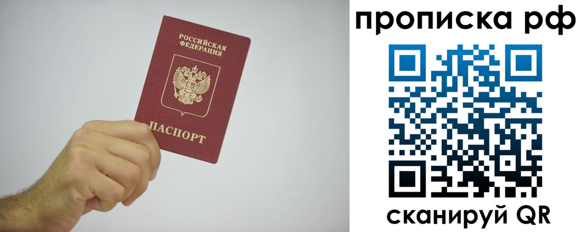 прописка в квартире в Новом Осколе